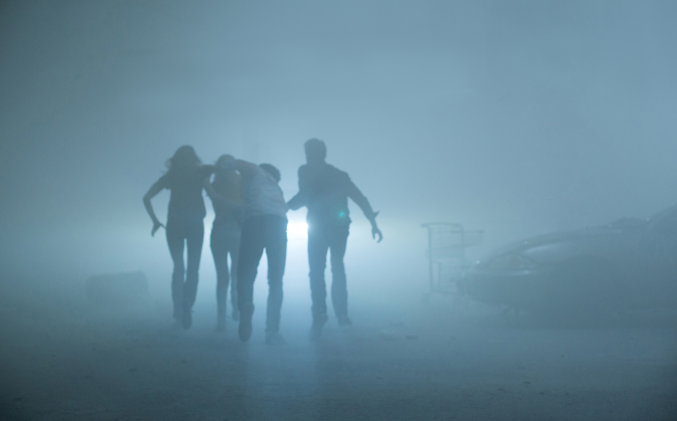 the mist ile ilgili görsel sonucu