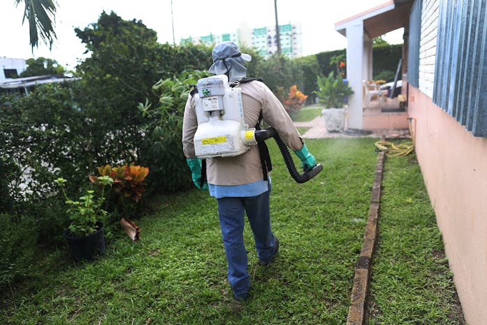 MIAMI, FL - OCTOBER 14: Joseph Blackman, a Miami-Dade County mosquito control inspector, uses a sprayer filled with a pesticide in an attempt to kill mosquitos that are carrying the Zika virus on October 14, 2016 in Miami, Florida. Florida Governor Rick Scott's office announced yesterday that a new active transmission zone has been found in a one-square-mile area from NW 63rd Street to NW 79th Street and from North Miami Avenue to NW 10th Avenue. With the announcement, the South Florida area now has their third area where the virus has been found. (Photo by Joe Raedle/Getty Images)
