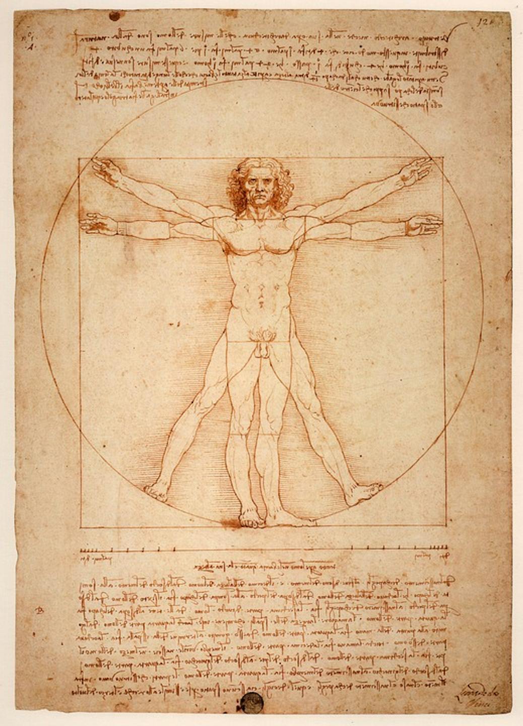 da-vinci-was-an-astute-anatomist-as-illu