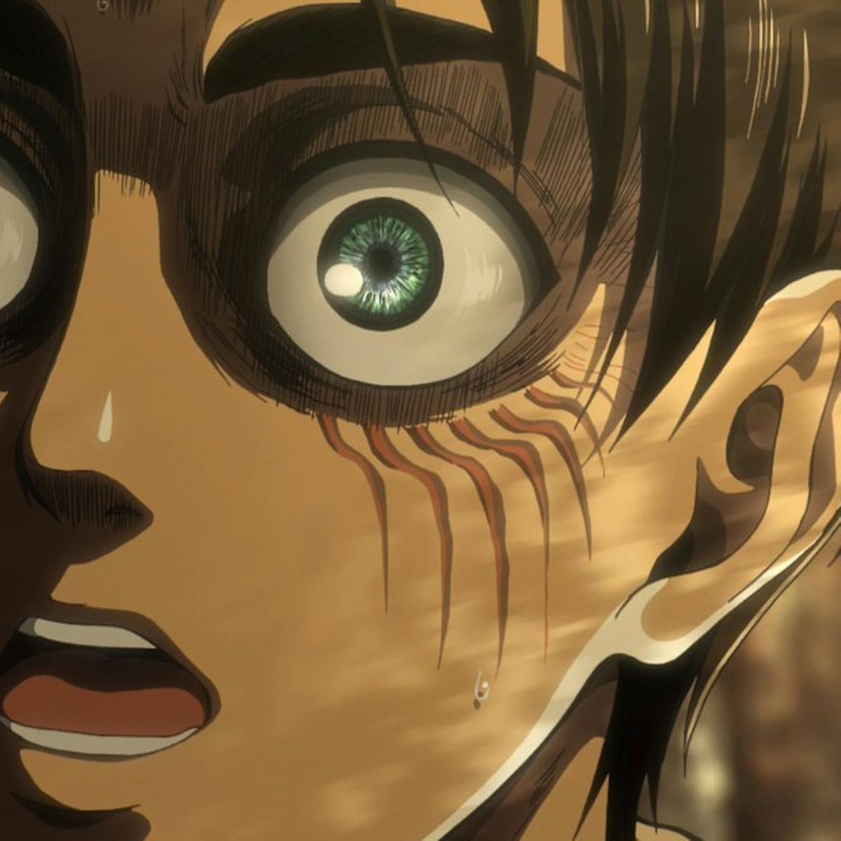 Images Of Attack On Titan Shifter Marks