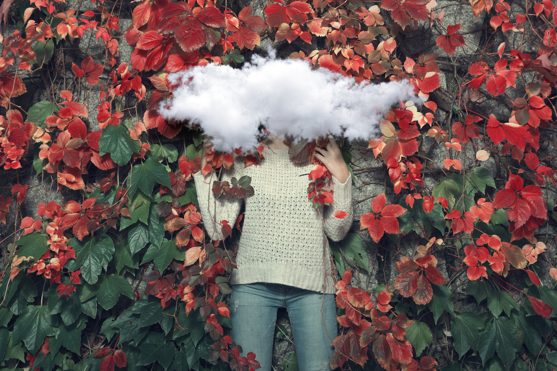 nature, woods, forest 