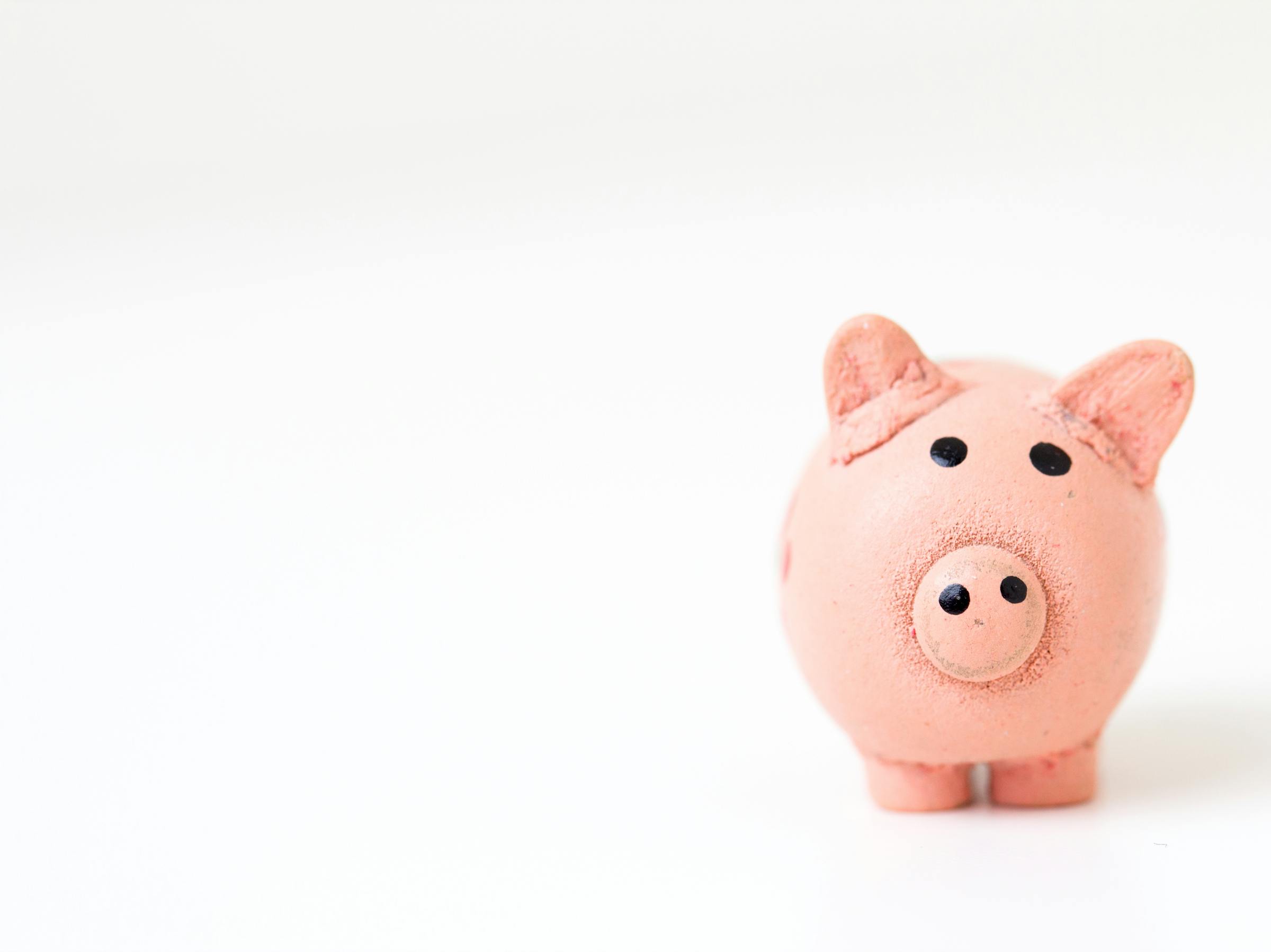 piggy bank