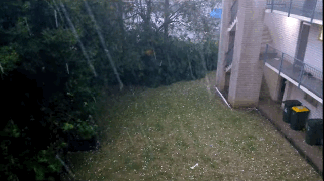hail.gif
