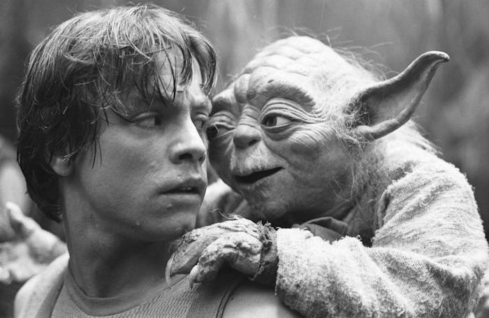 Luke et Yoda, dans "Star Wars V : l'Empire contre-attaque"