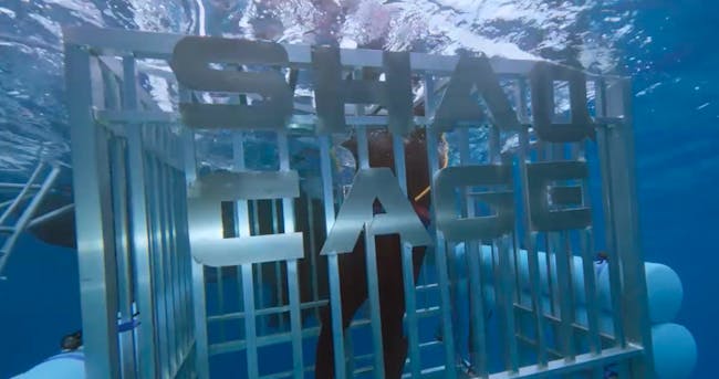 Shark Week