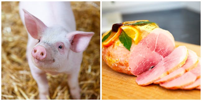 piglet and ham