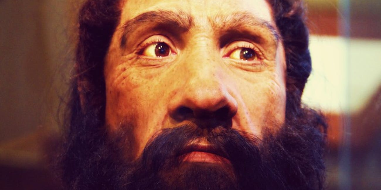 Homo neanderthalensis, Neanderthal