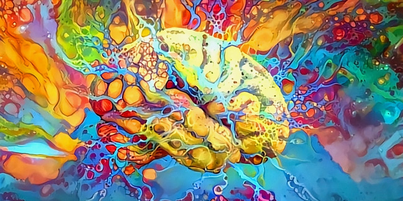 DMT brain
