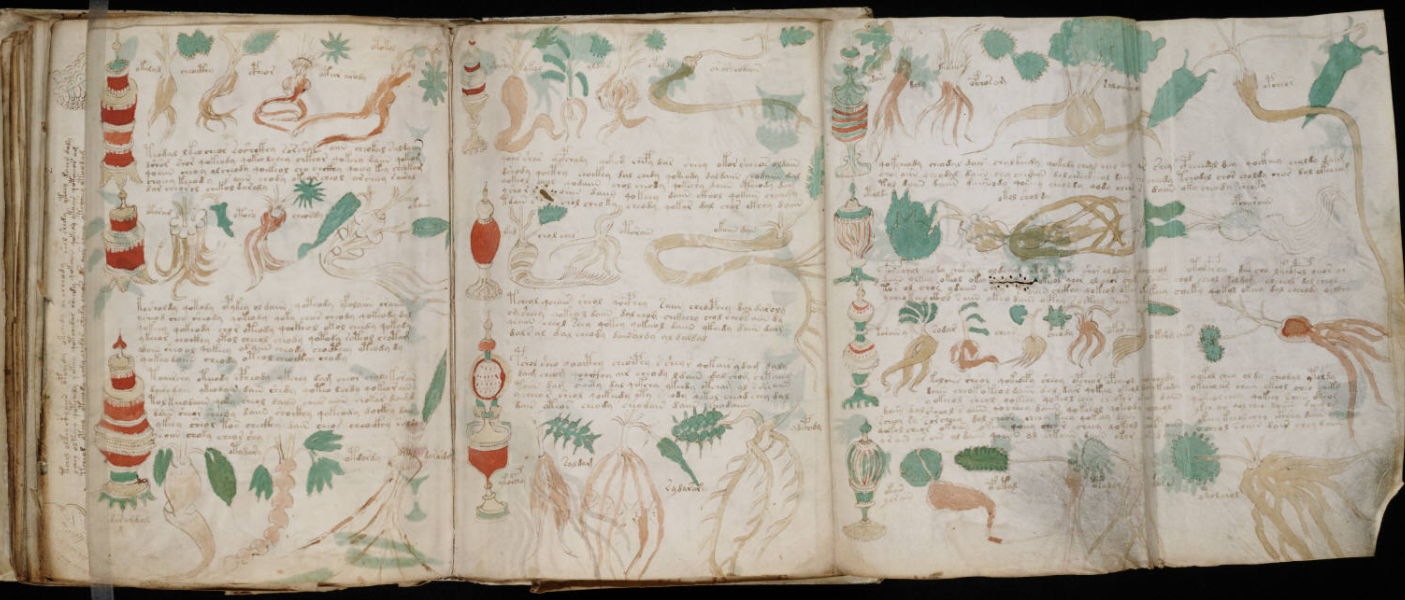 voynich manuscript plants