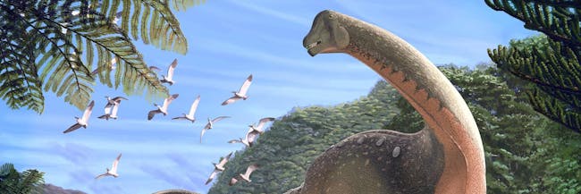 Dinosaur, 80 million years ago, Egypt