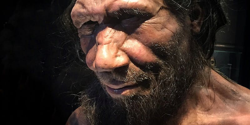 Neanderthals Were Screwed From the Very Start, Say Scientists