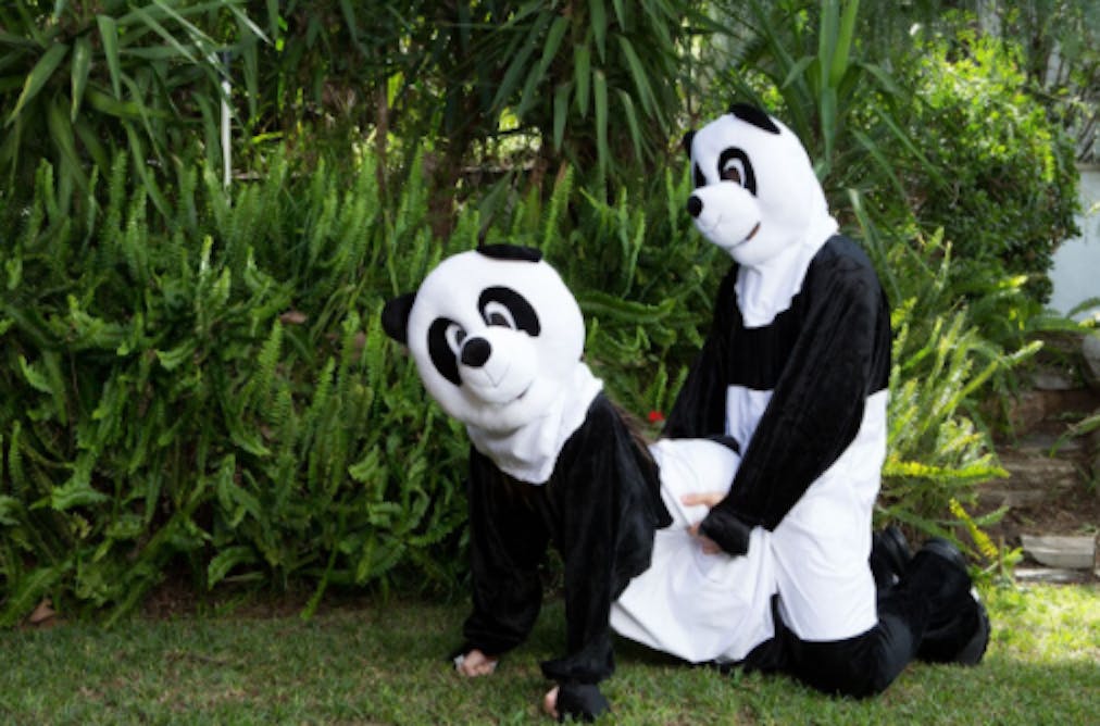 Panda Costume - PornHub Requests Public Help to Save Pandas With Bear Porn ...