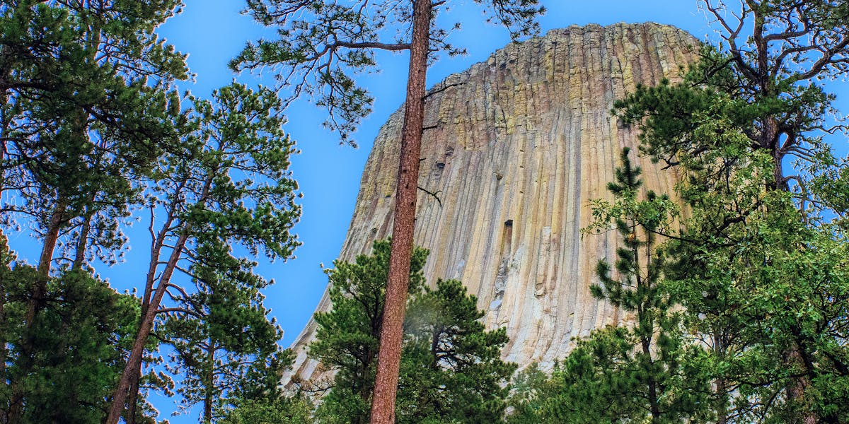 Devils Tower Wyoming Flat Earth No Forests
