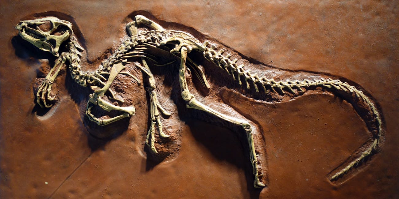 New Dinosaur Species Keep Getting Discovered This Year â 3 Reasons Why | Inverse