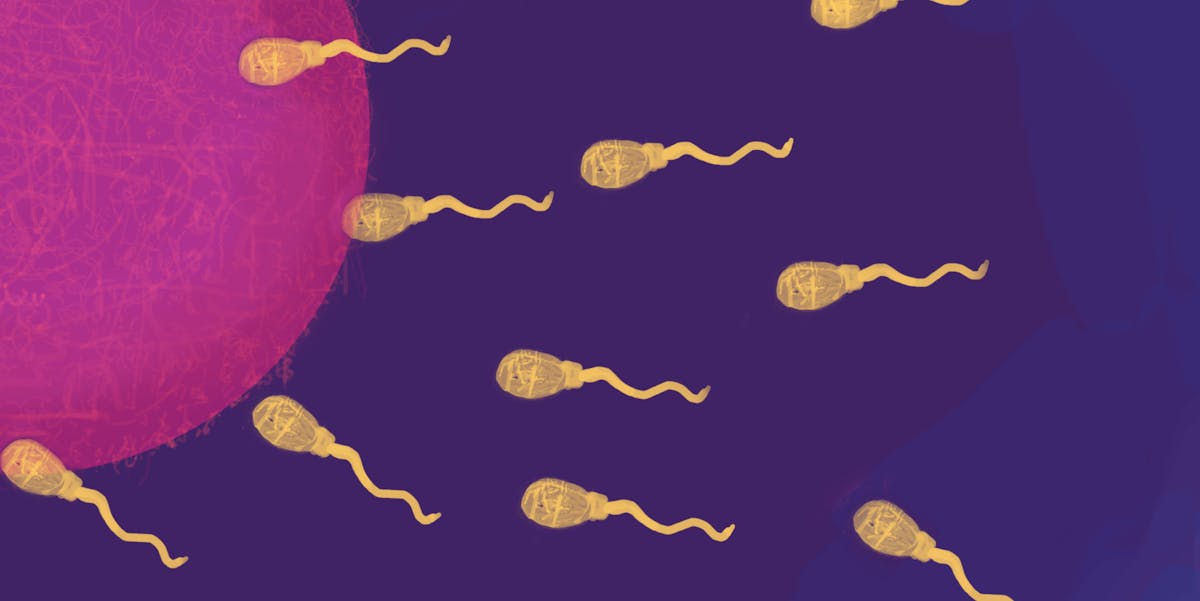 Mutations In Sperm Are Linked To Diseases Do Fathers Really Want To