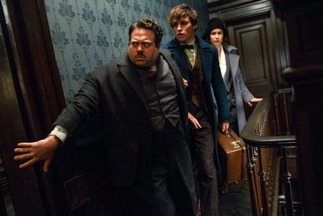 Newt, Tina and Jacob in 'Fantastic Beasts and Where to Find Them'