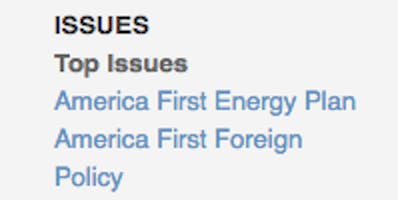 trump's whitehouse.gov issues list