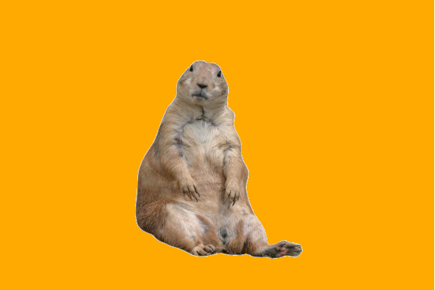 How resilient are you?