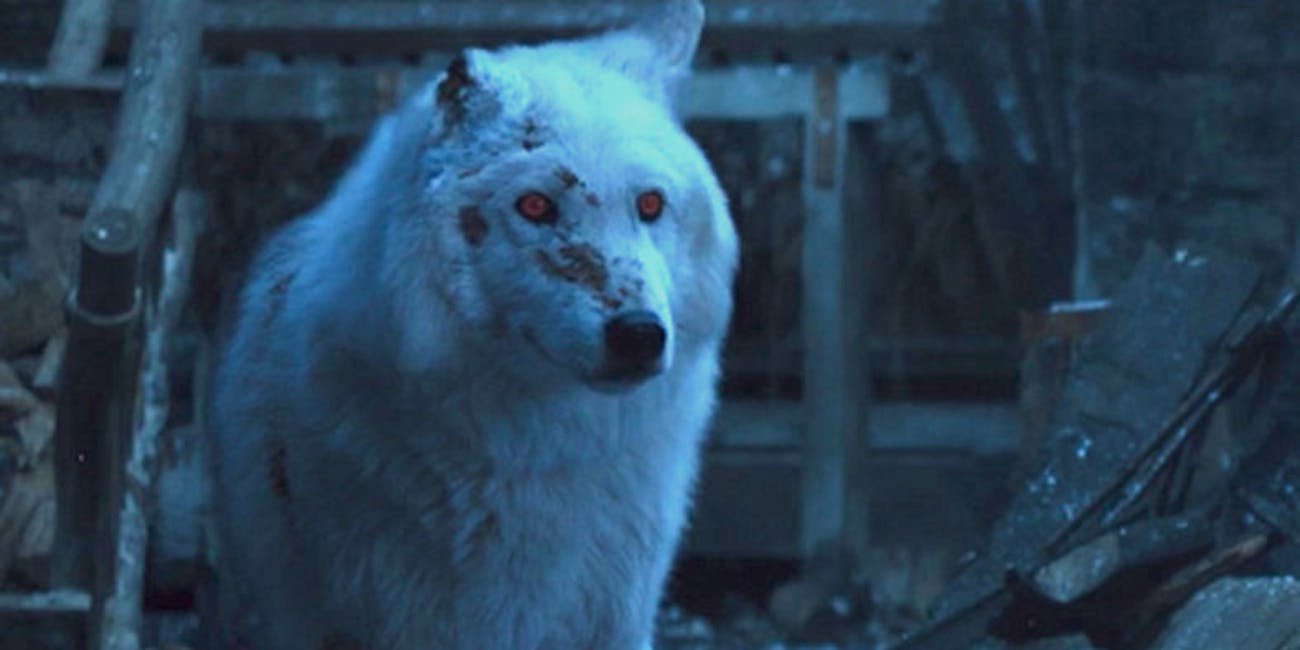Game of Thrones Ghost