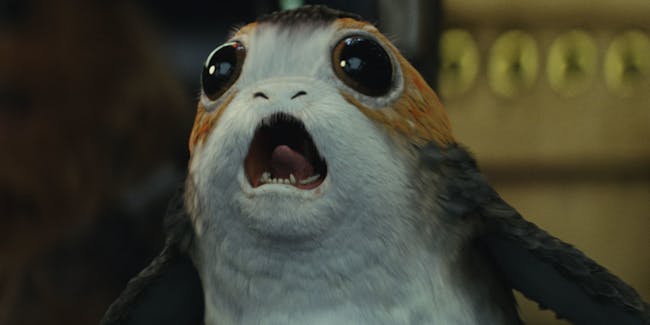 Image result for star wars the last jedi animals