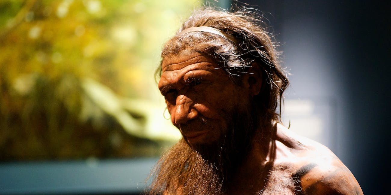 Neanderthal