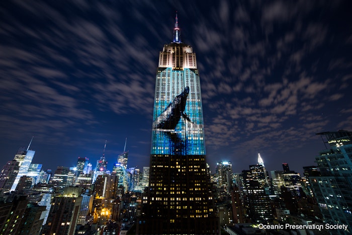 The activist filmmakers behind 'Racing Extinction' project a whale onto the Empire State Building.
