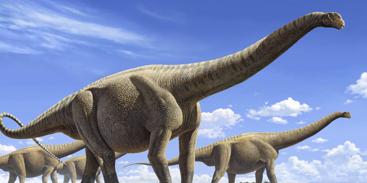the biggest sauropod