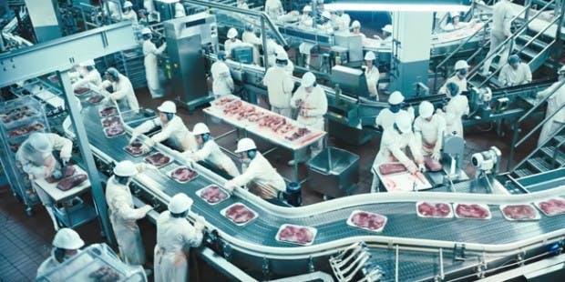 Netflix Okja super pig