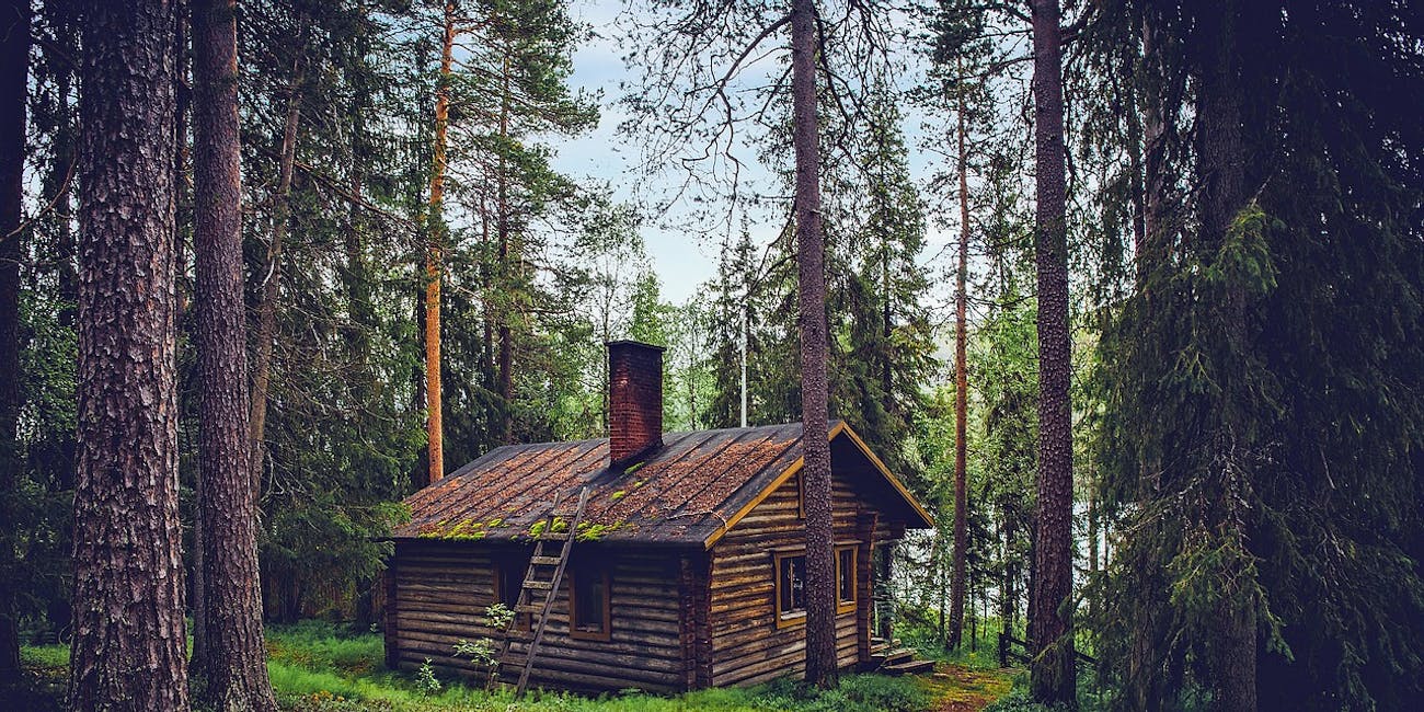 log cabin woods mental health