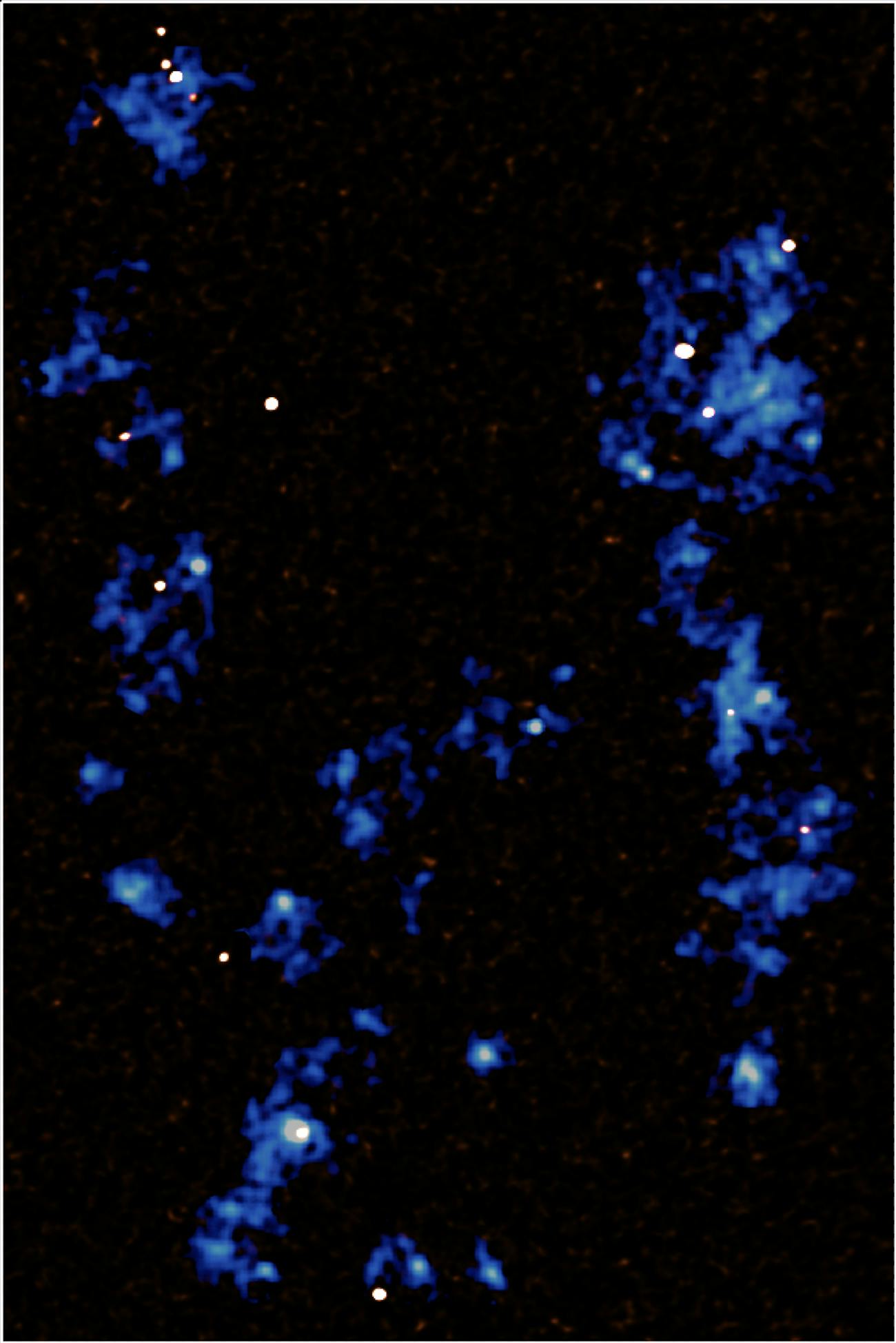 This map shows the gas filaments (blue) that run from the top to the bottom of the image, detected using the MUSE instrument at the Very Large Telescope. The white dots embedded within these filaments are very active star forming galaxies which are being fed by the filaments, and which are detected using the Atacama Large Millimeter/submillimeter array.
