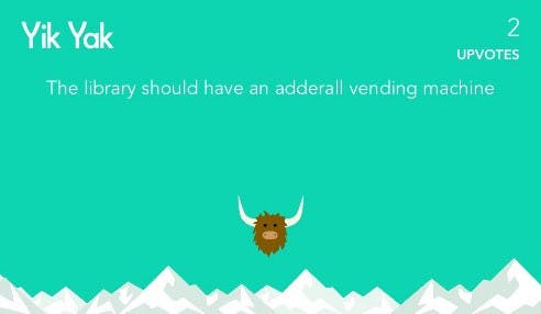adderall yik yak