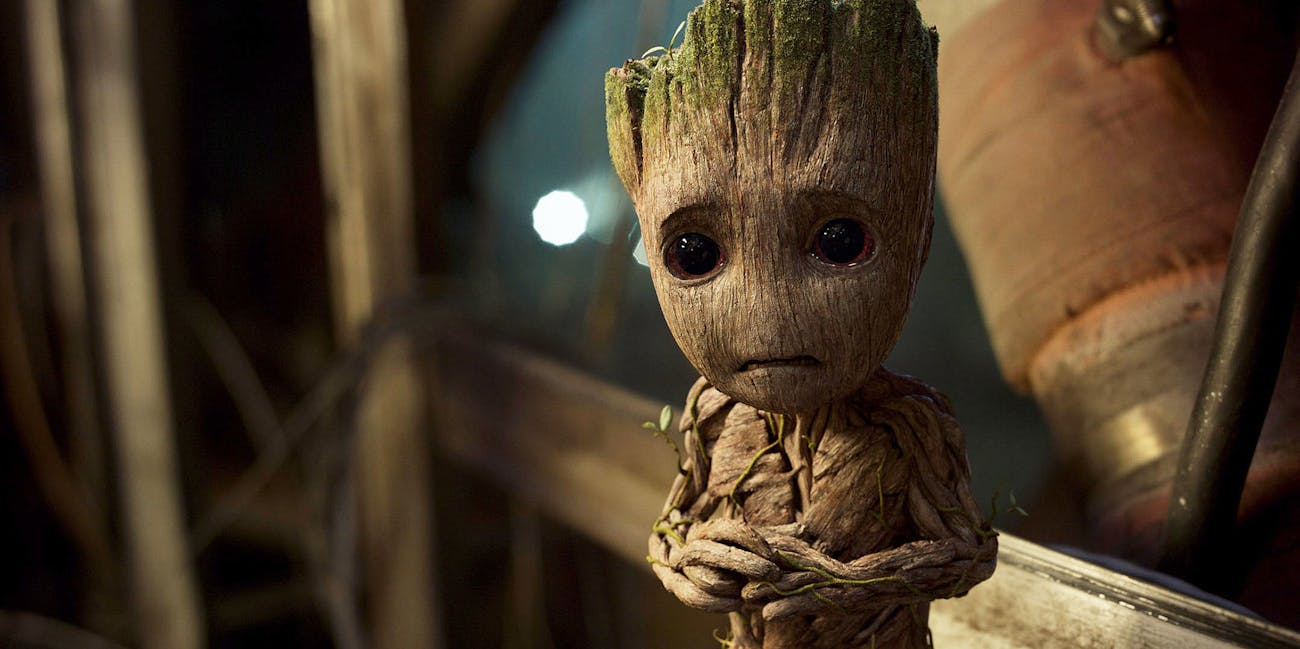 Groot