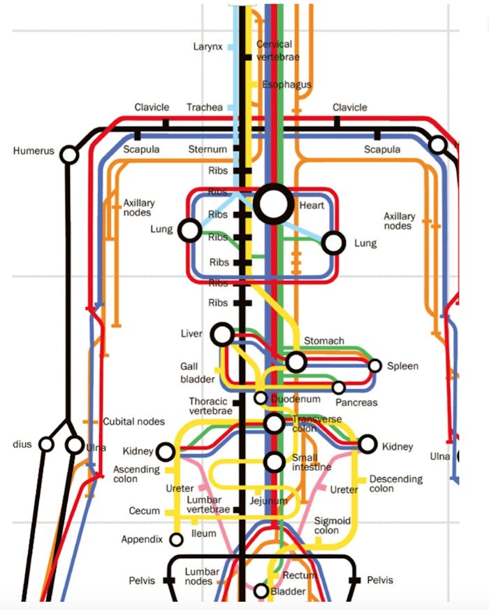 A Smart subway-styled diagram shows the human body as a smart city | inverse A Smart subway-styled diagram shows the human body as a smart city | inverse