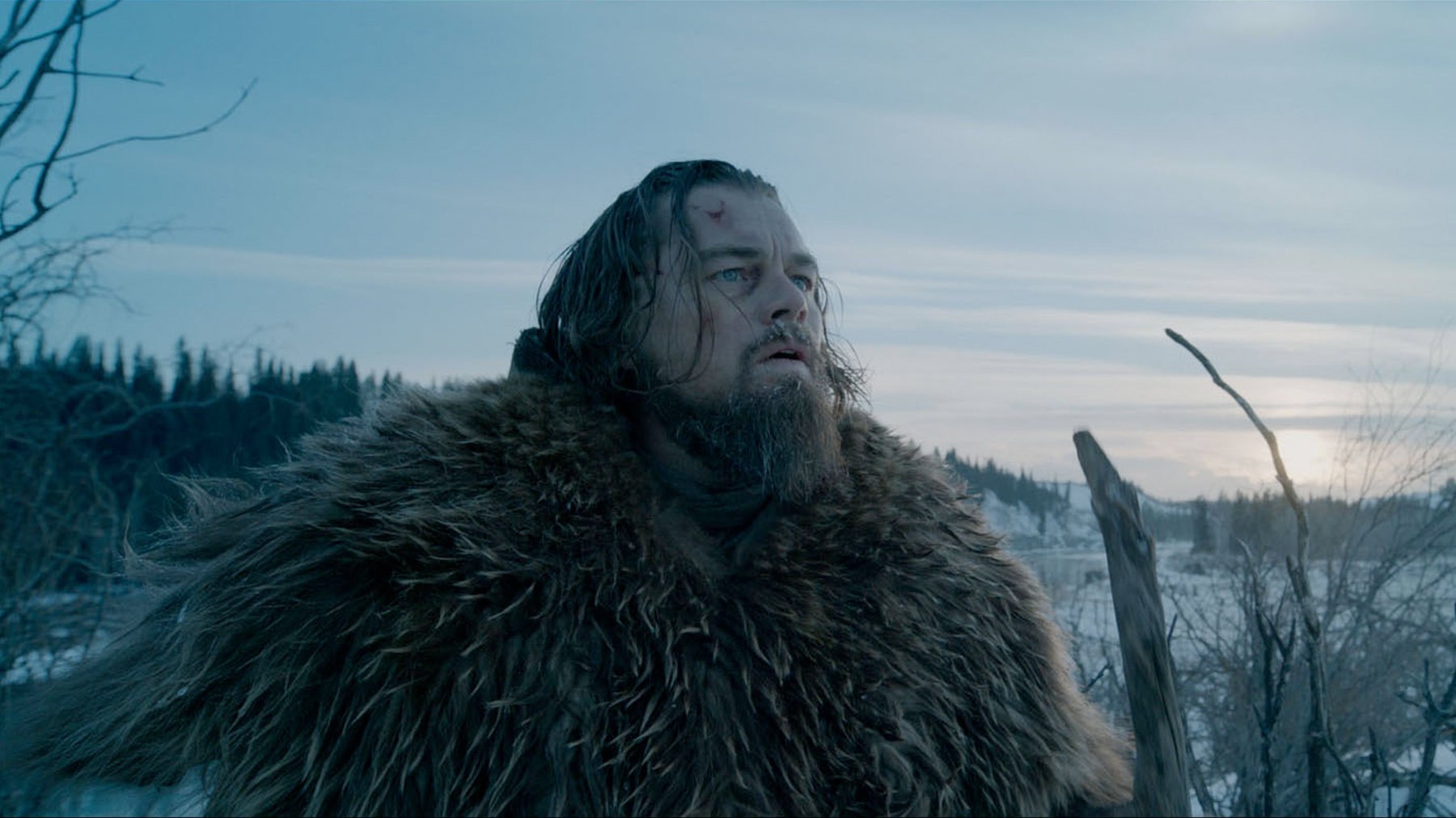 leonardo dicaprio climate change movie