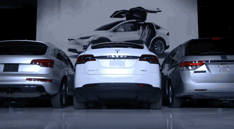Tesla Falcon Wing Doors Opening GIF