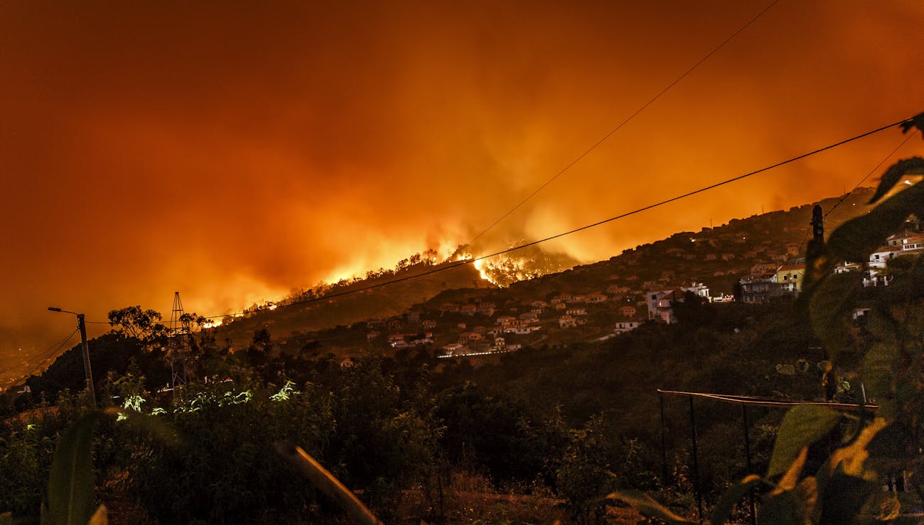 WIldfire