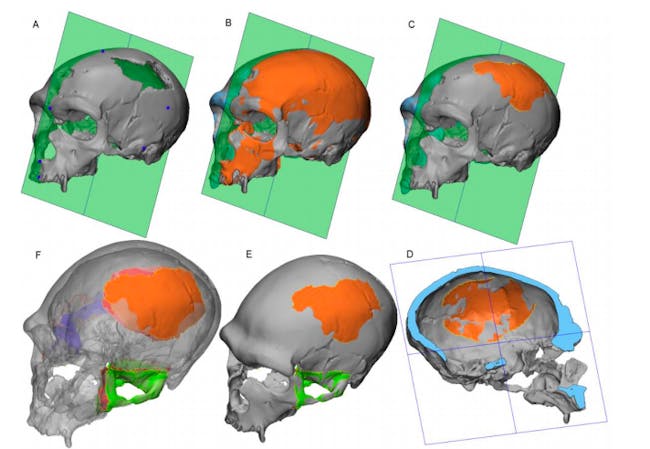 Neanderthal