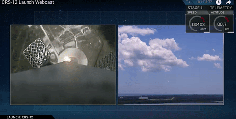 SpaceX Pulls Off a Record 8th Falcon 9 Rocket Landing of the Year | Inverse