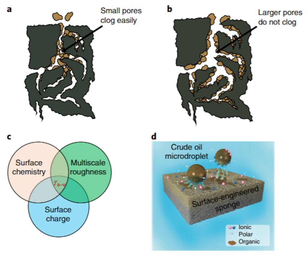 When it comes to pollutant absorbing sponges, scientists say large pores are actually a good thing.