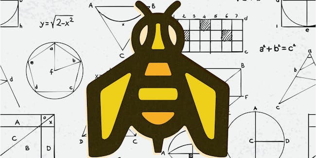 bee brains can do math