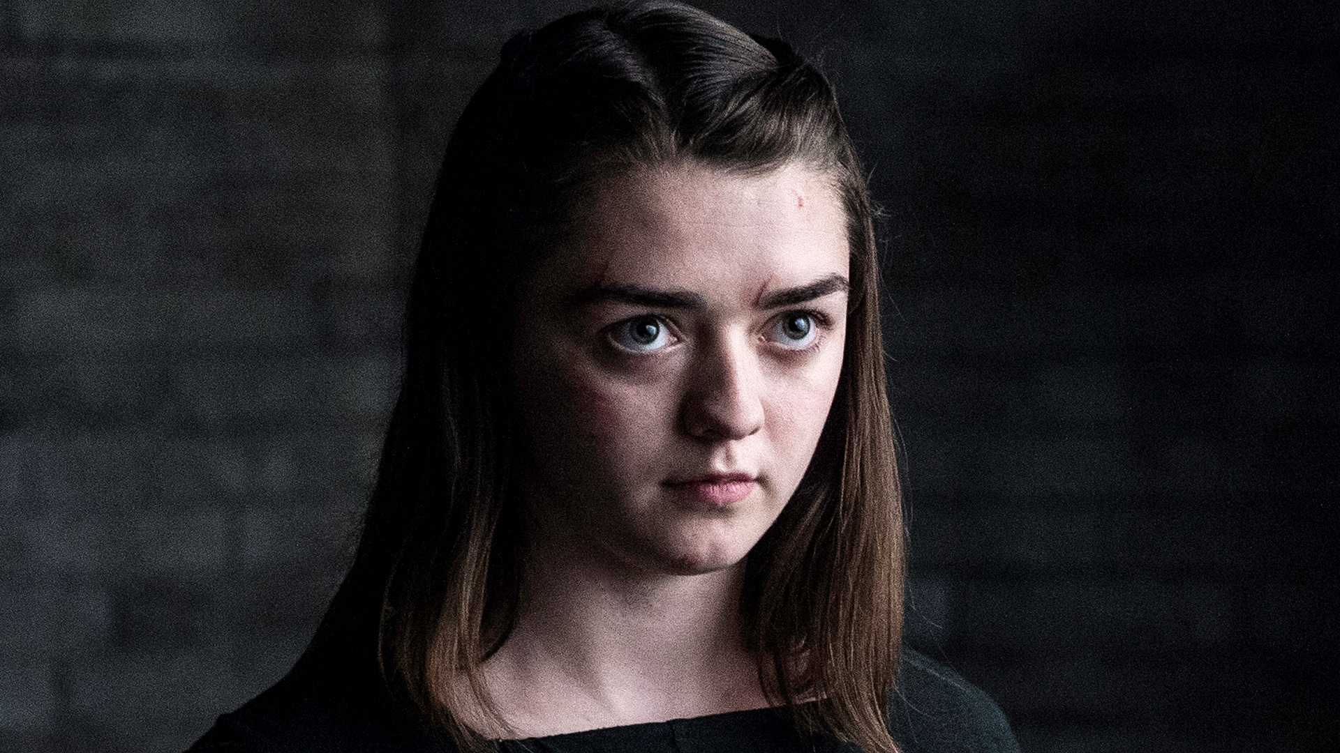 This Crazy Got Arya Theory Means Shell Never Avenge The Starks