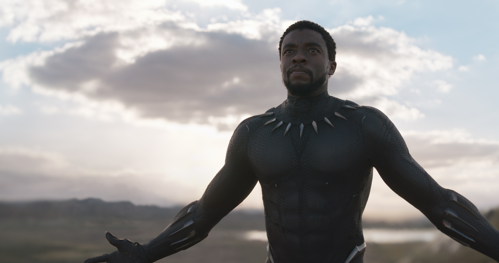 Black Panther Superpowers Explained In Case You Werent Sure Inverse