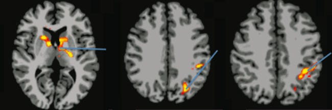 spirituality mindfulness neuroscience