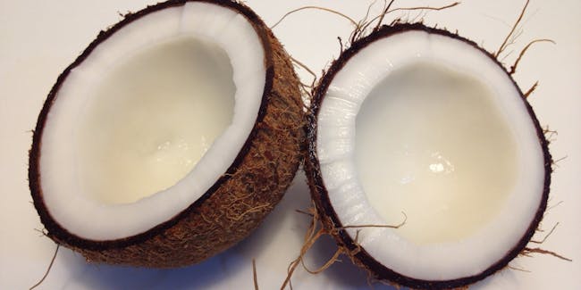 Coconut