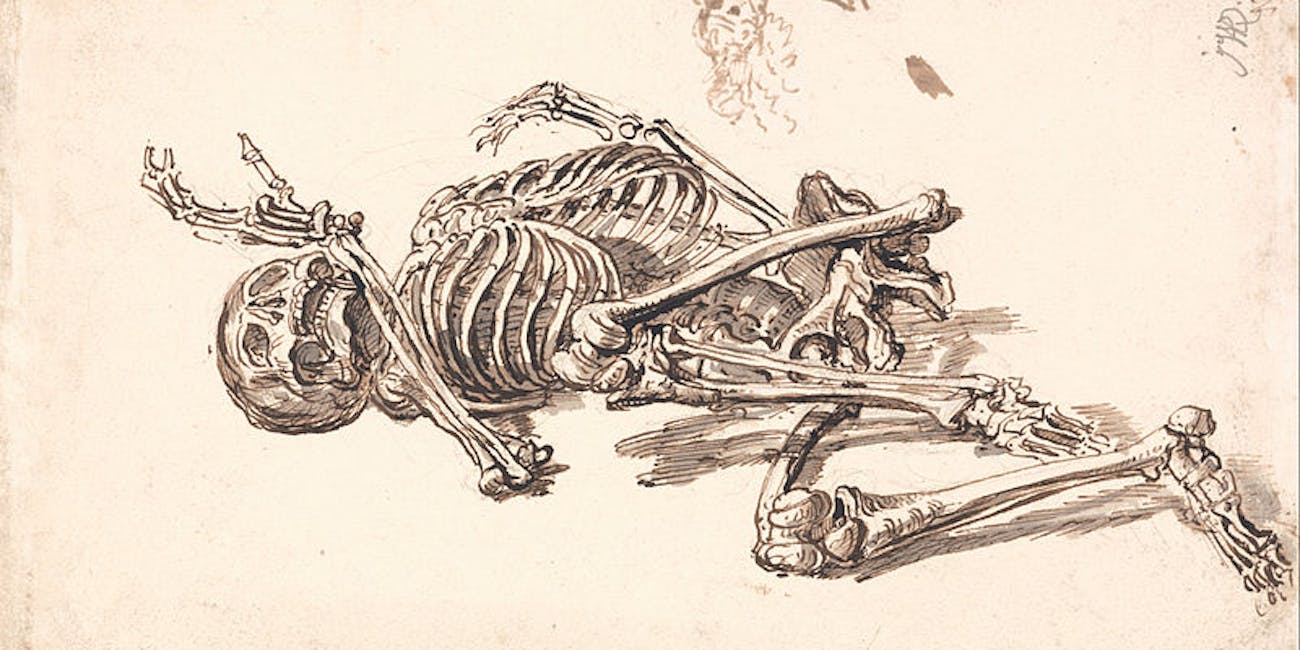 bones, skeleton