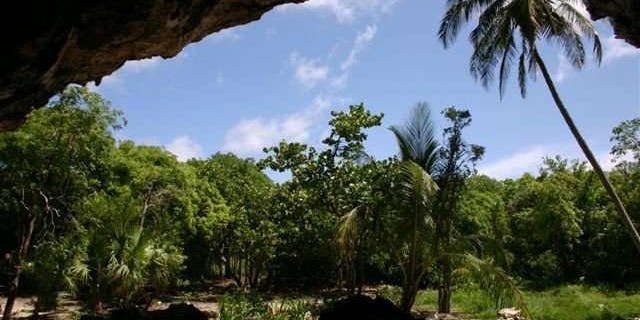 Ancient tooth, Taino