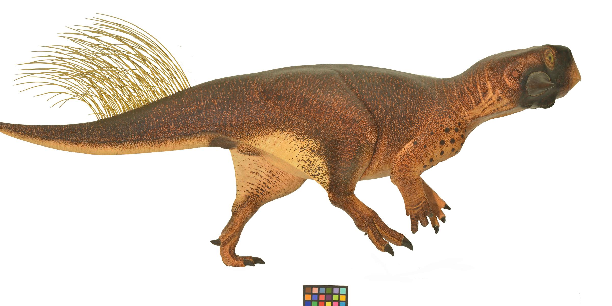 We're on the Verge of Knowing What Color T. Rex Is | Inverse