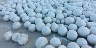 Mutant Snowballs Appear on Russian Beach