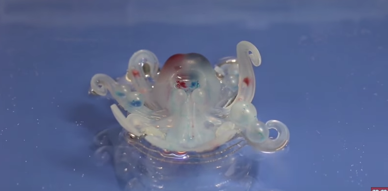 Image result for Octobot