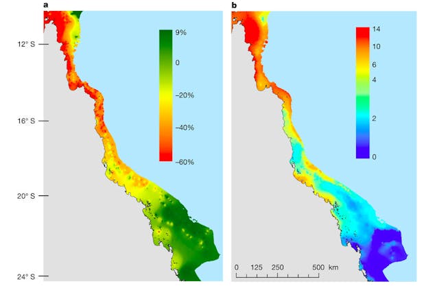 coral heating and bleaching